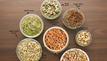 why-are-sprouted-lentils-and-grains-a-power-packed-vegan-protein-blog-the-naturik-co