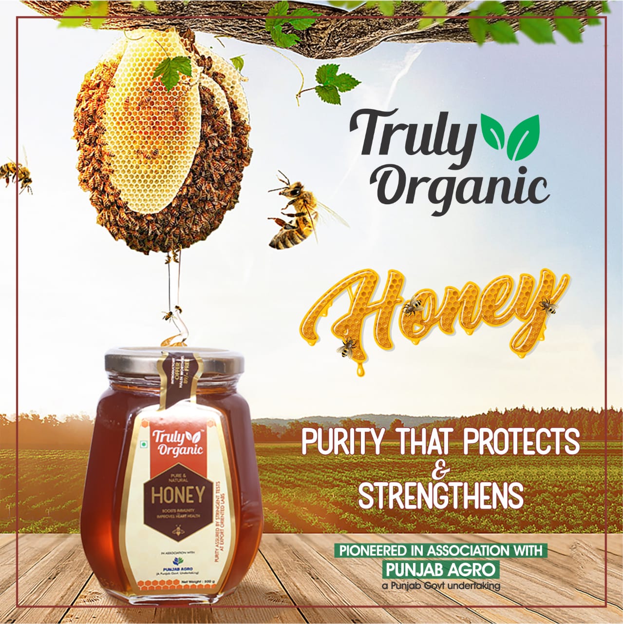 Truly Organic Honey 500g (250g*2) Pure Natural Honey | Raw Unprocessed Honey | Best Honey for babies, families and for Weight Watchers